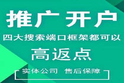 SEM托管公司案例研究：优化策略解析